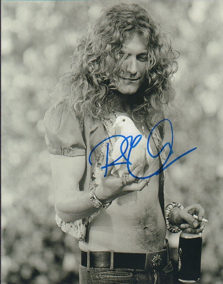 Robert Plant signed photograph (1 of 1)