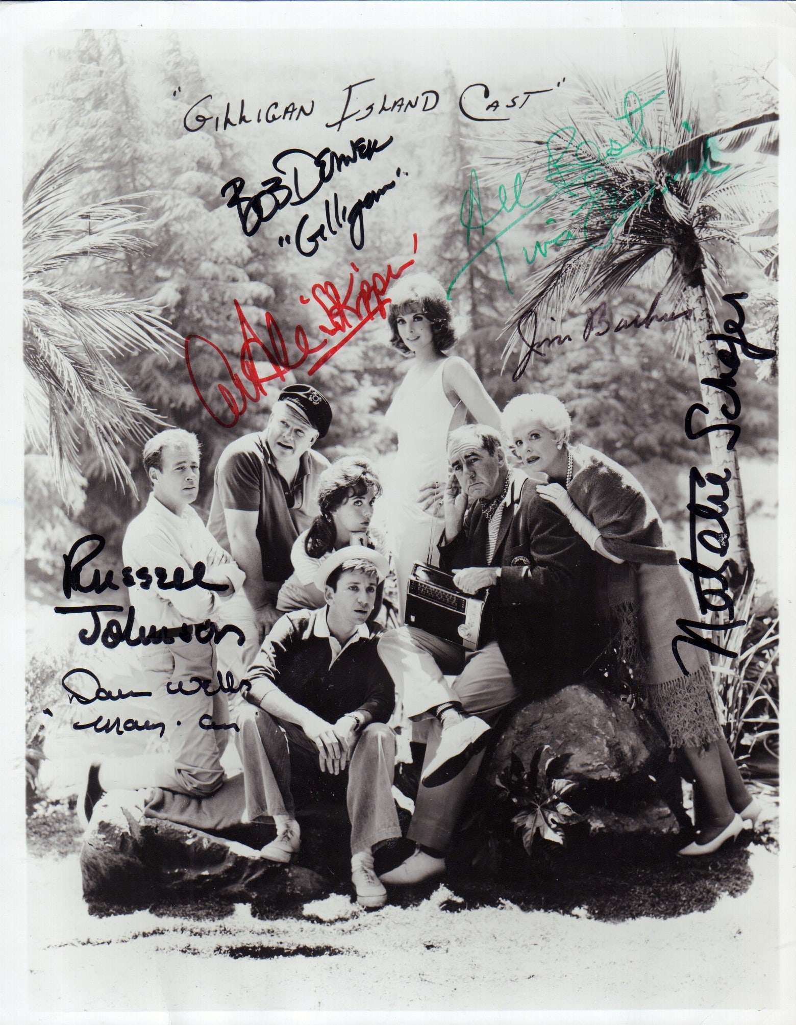 Gilligans Island cast signed photograph (1 of 1)