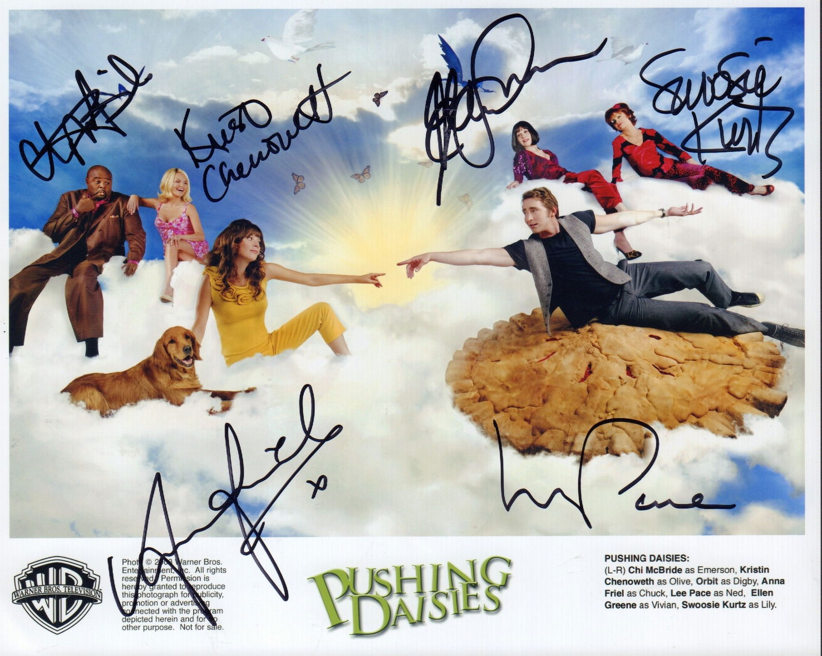 Pushing Daisies cast signed photograph (1 of 1)