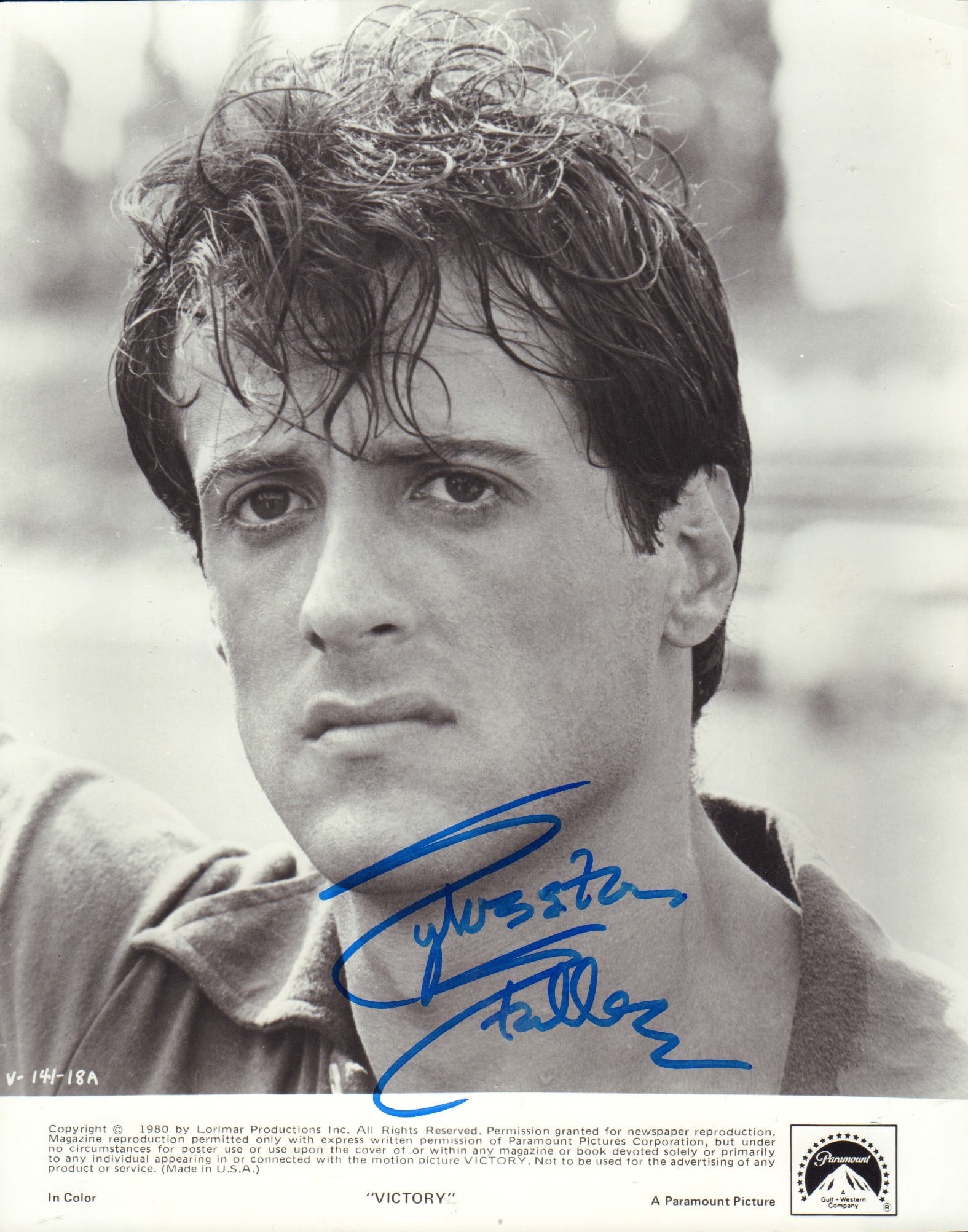 Sylvester Stallone signed photograph (1 of 1)