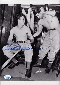 Ted Williams signed photo