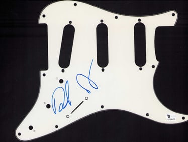 Dave Grohl and Taylor Hawkins signed strat style electric pickguard