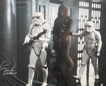 Peter Mayhew Star Wars signed 16x20 photograph