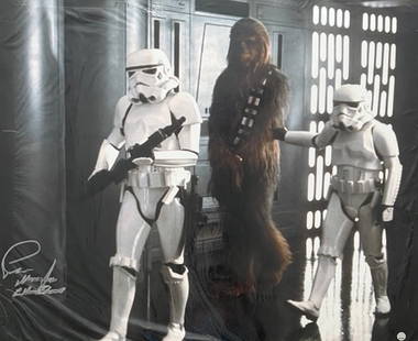 Peter Mayhew Star Wars signed 16x20 photograph: As Chewbacca in Star Wars signed 16x20 with Celebrity Authentics sticker hologram Certificate of AuthenticityEVERY item in this auction comes with at minimum a full illustrated serial numbered COA