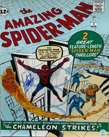 Stan Lee Spipderman signed 16x20 photograph