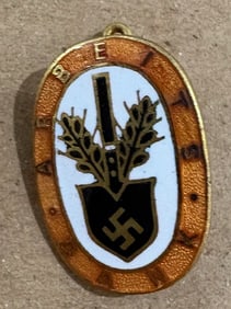 German Nazi pin