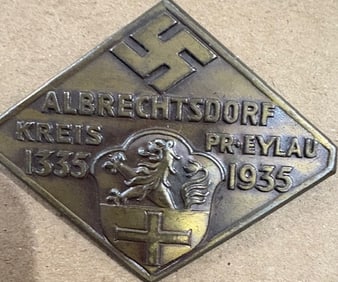 German Nazi pin