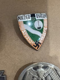 German Nazi pin
