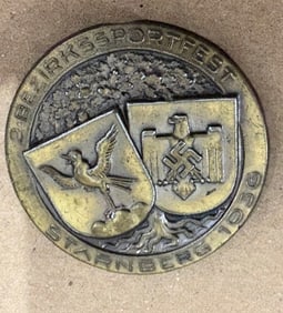 German Nazi pin
