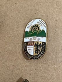 German Nazi pin