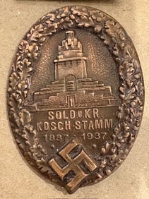 German Nazi pin