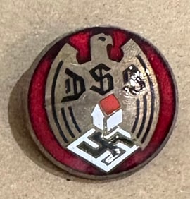 German Nazi pin