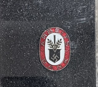 Arbeits Dank pin