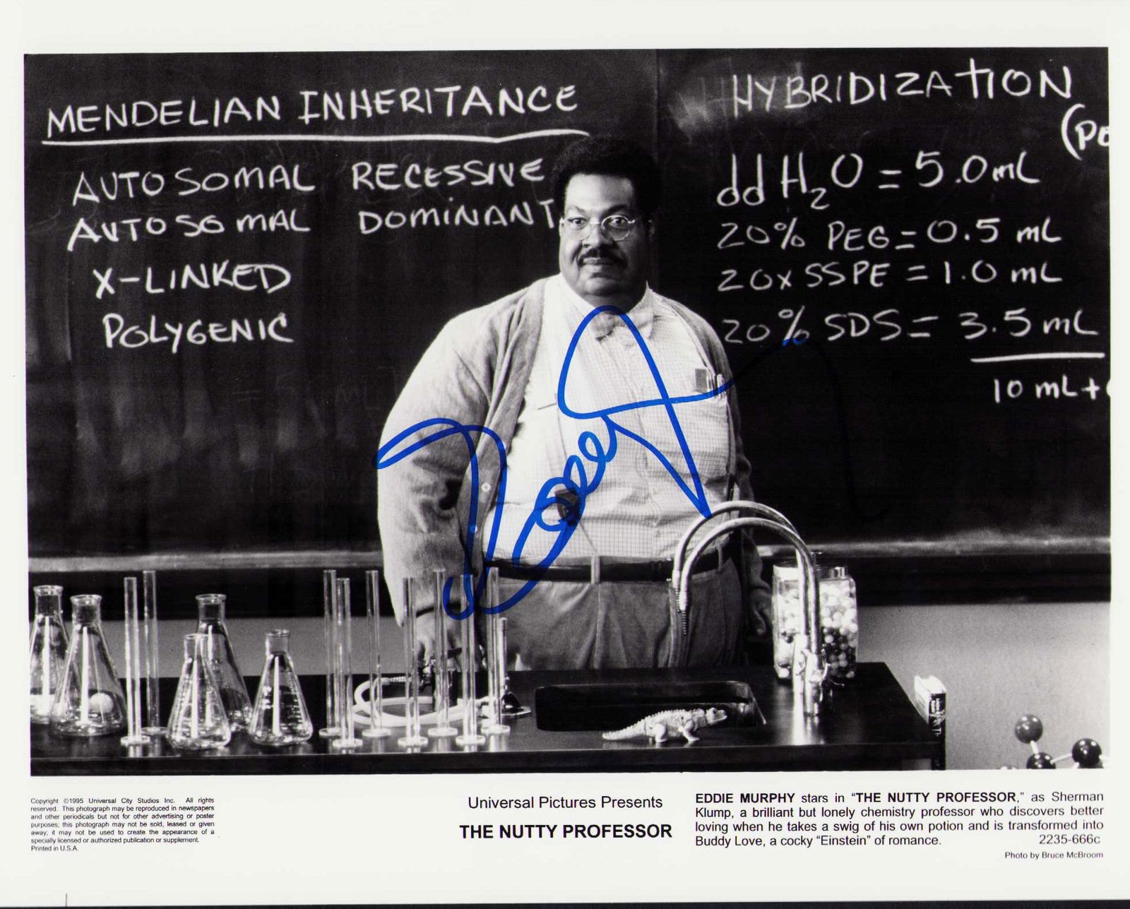 Eddie Murphy signed photograph (1 of 1)