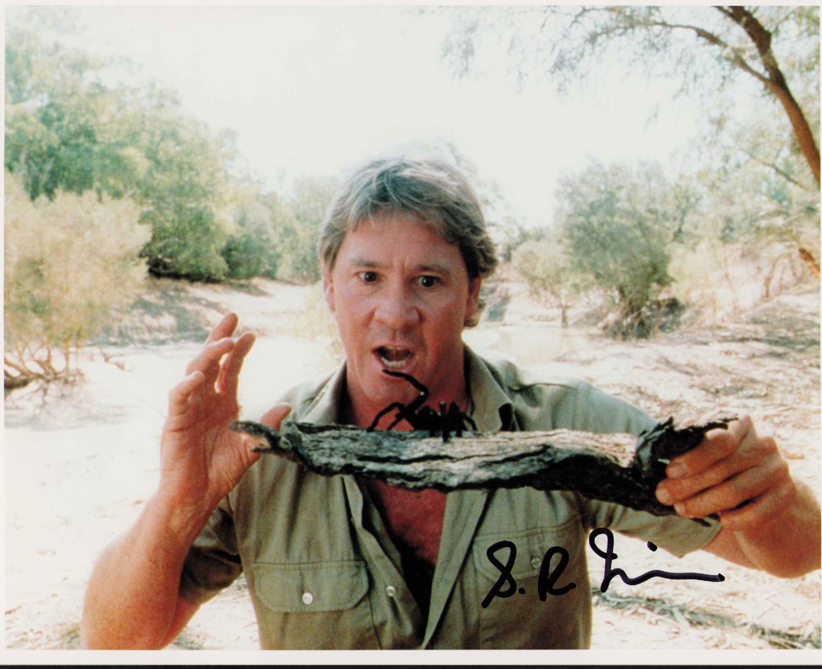 Steve Irwin signed photograph (1 of 1)