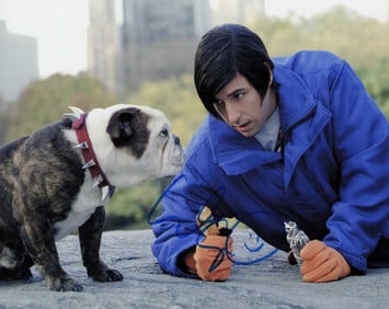 Adam Sandler Little Nikki signed photograph