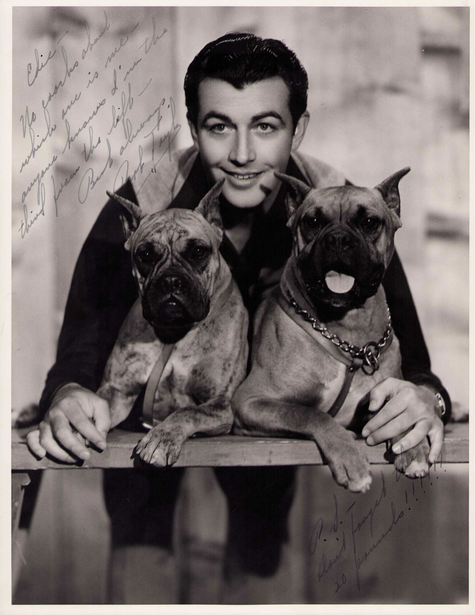 Robert Taylor signed 11x14 photograph (1 of 1)