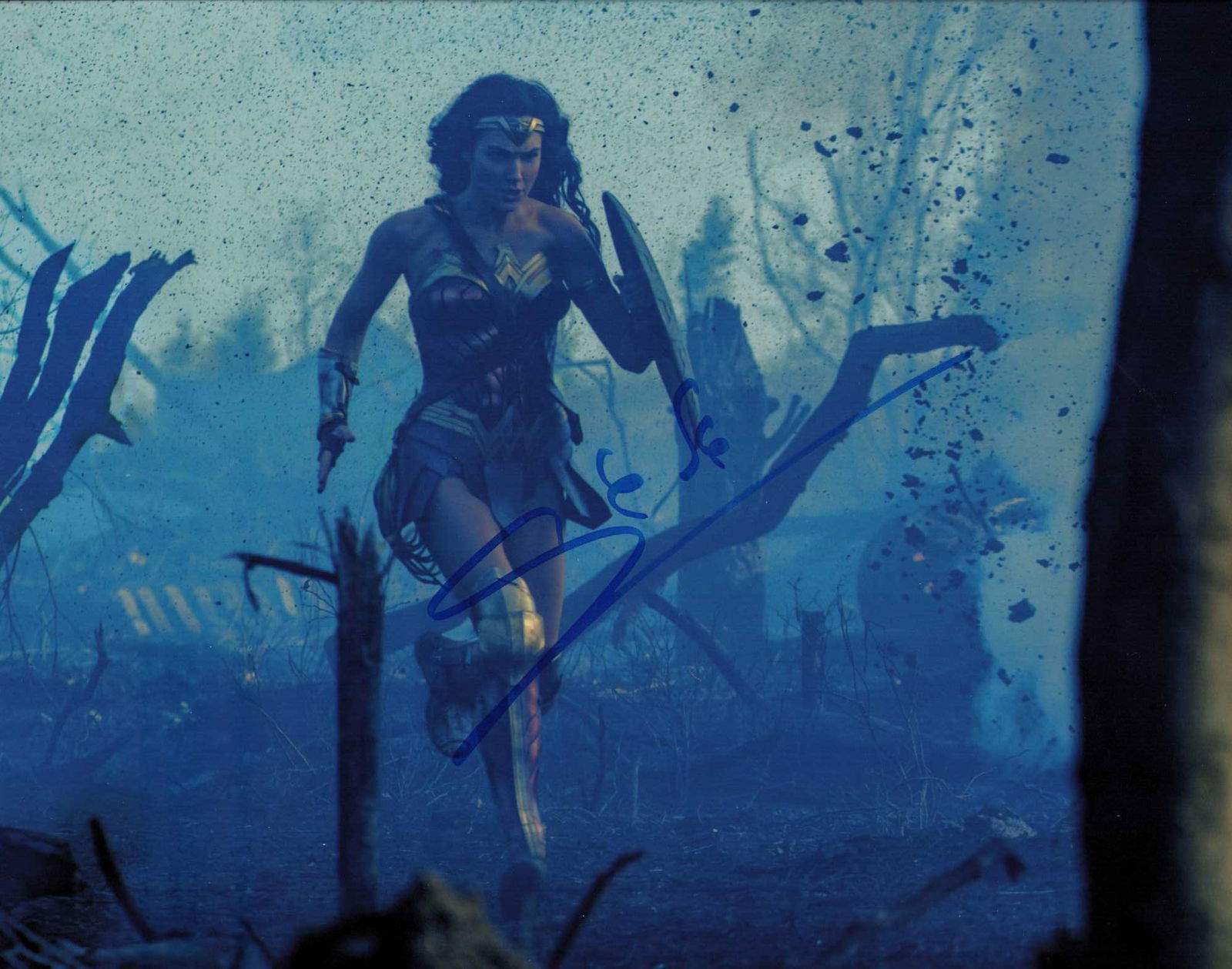 Gal Gadot Wonder Woman signed photograph (1 of 1)