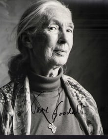 Jane Goodall signed photo