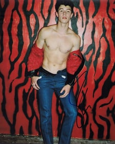 Shawn Mendes signed photo