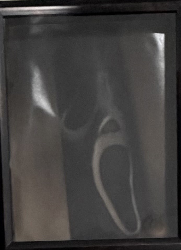 Scream 7 original framed art On screen: Seen on screen in the film in the Macher famous house set is this original art and frame obtained in cast crew only auction at the films finish Certificate of AuthenticityEVERY item in this auction