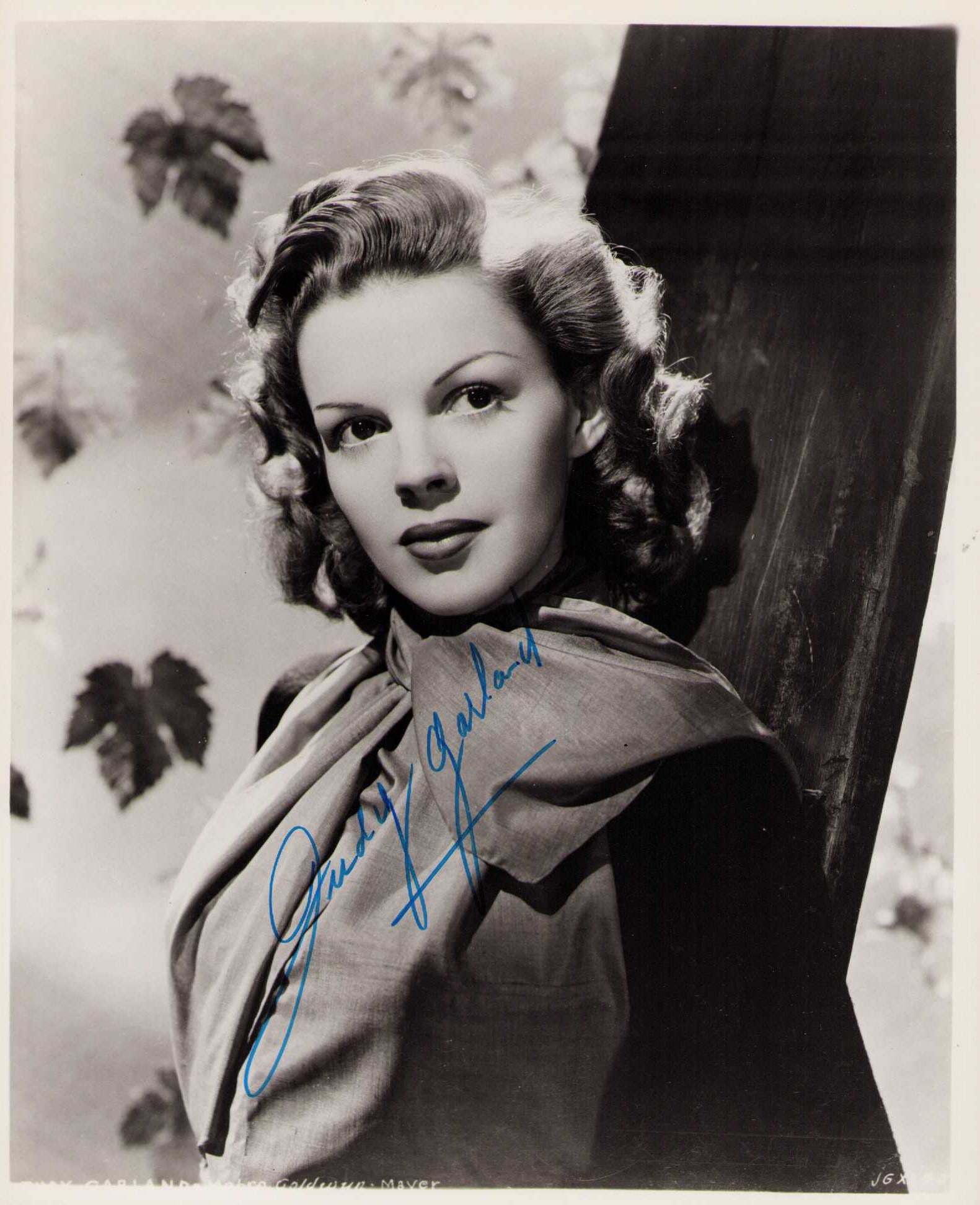 Judy Garland signed photograph (1 of 1)