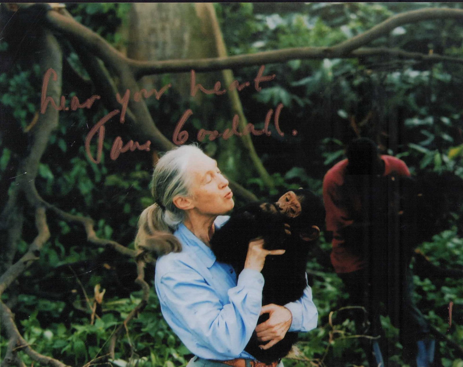 Jane Goodall signed photograph: Scarce signed 8x10 of famed anthropologist whose work with primates was so significant Deceased Certificate of AuthenticityEVERY item in this auction comes with at minimum one fully illustrated and