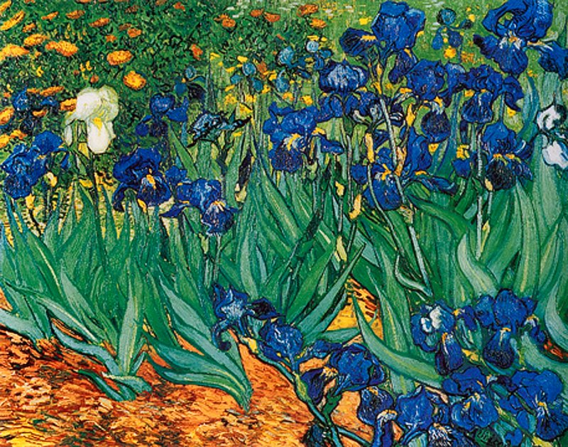 Vincent Van Gogh-Limited Edition -The Irises: The Irises - Vincent Van Gogh. Limited Edition Giclee lithograph on archival canvas. The signature is in the plate. Edition size is 500. Includes Certificate of Authenticity. Approx. 20x24". 20% of pr
