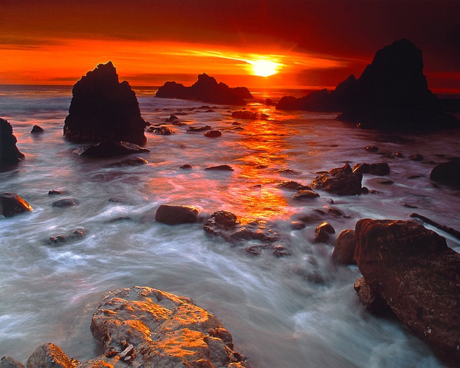 Nick Rodionoff Limited Edition Photography on canvas: by Rodionoff Photography on canvas. Includes certificate of authenticity. Hand signed and numbered by the artist. approx 20 x 30 Limited Edition.This comes ready to hang wrapped on gallery canvas bars