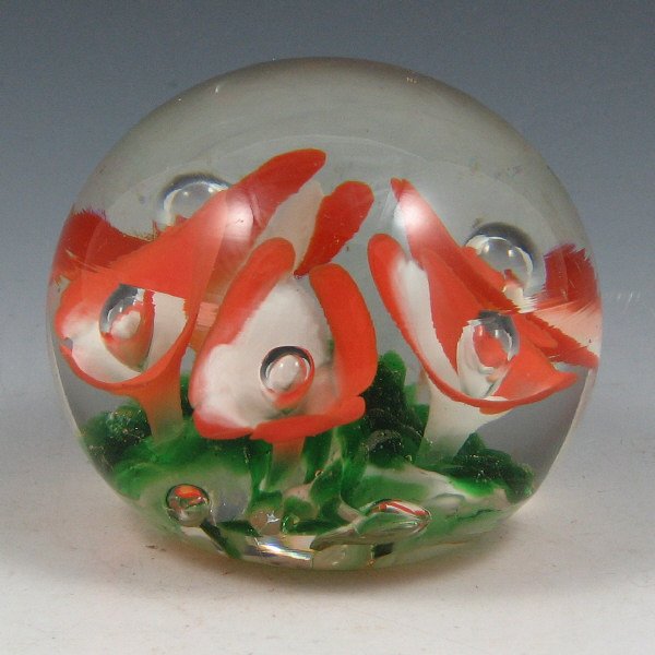 St. Clair (Maude and Bob) 1976 Floral Paperweight: Maude and Bob St. Clair floriform paperweight from 1976 in orange, white and green. Marked with impressed circular mark. Excellent condition. 3 1/2" wide by 3" tall.