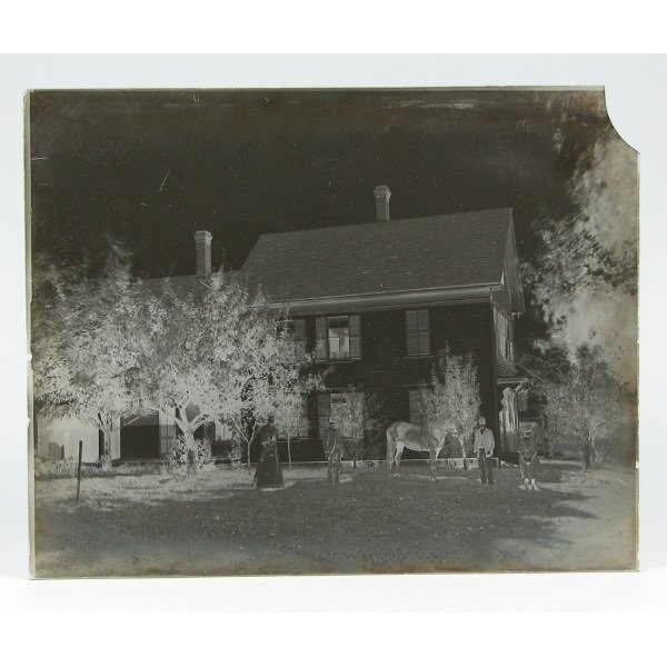 Full Plate Glass Negative of Outdoor Scene
