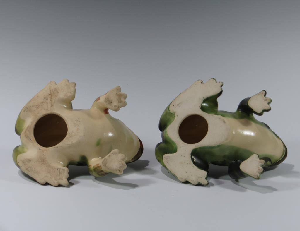 Two Brush Frogs (1 of 2)