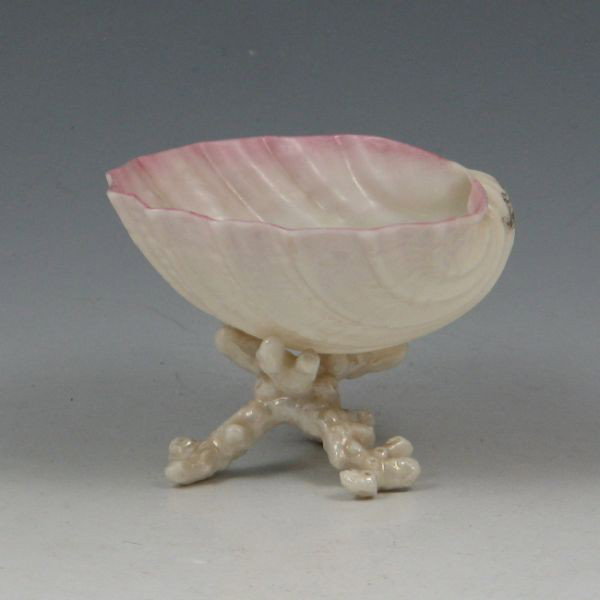 Belleek Cardium On Coral - 1st Black