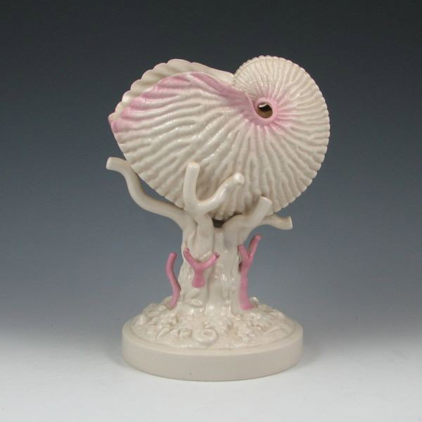 Belleek Nautilus On Coral - 2nd Black