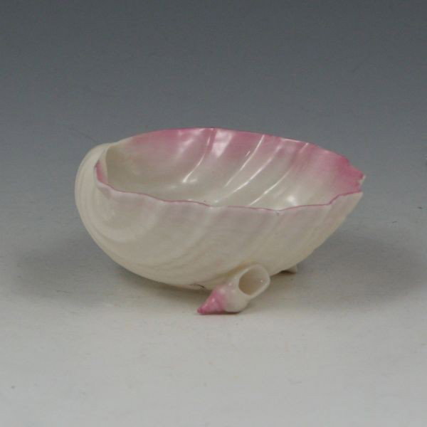 Belleek Cardium On Shell - 2nd Black