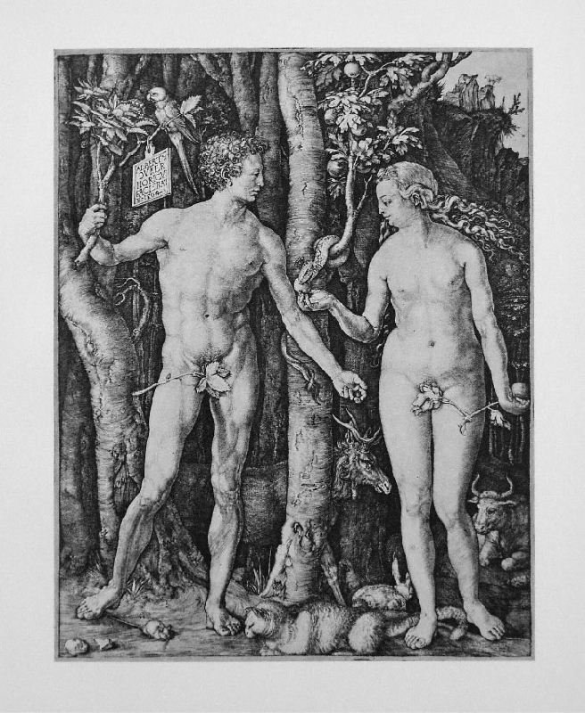 Adam and Eve by Albrecht Durer - Lithographic Bookplate: "Adam and Eve" by Albrecht Durer - Lithographic Bookplate - Religion & Belief. This Lithographic Bookplate measures approx. 9.5H x 7.5W Inches as shown. This item has been certified authentic and ship