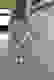 item-18722882=6