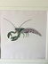 Walter Spies (Indonesia 1895-1942) Insect Study 1924 - 2