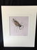 Walter Spies (Indonesia 1895-1942) Insect Study 1923