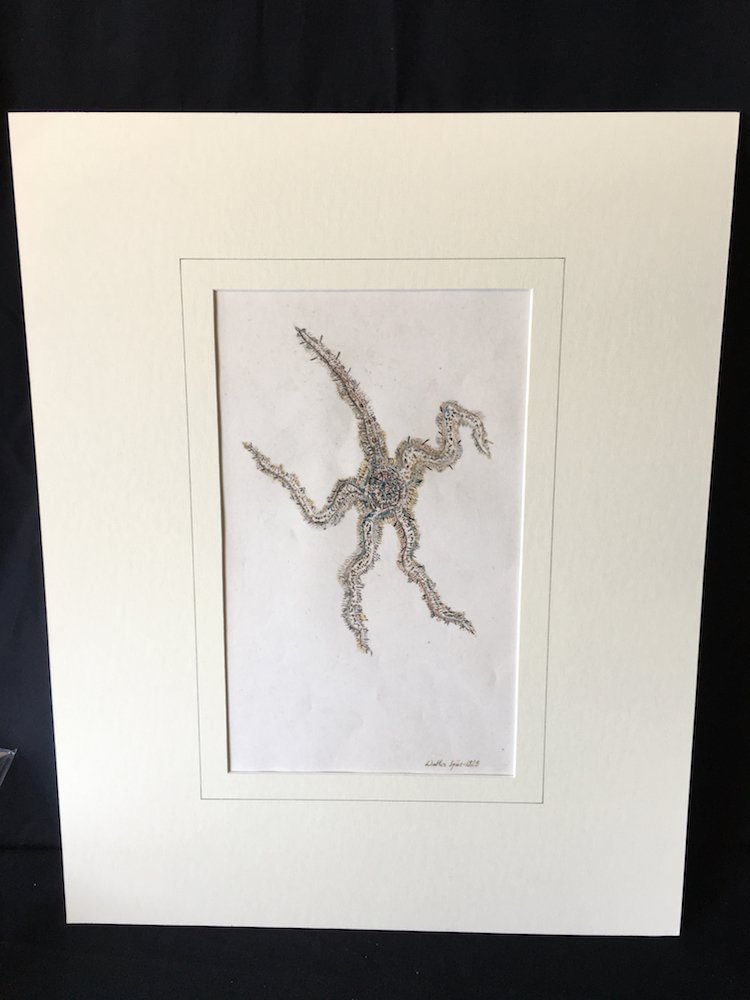 Walter Spies (Indonesia 1895-1942) Insect Study 1923 (1 of 7)