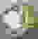 item-51483689=5