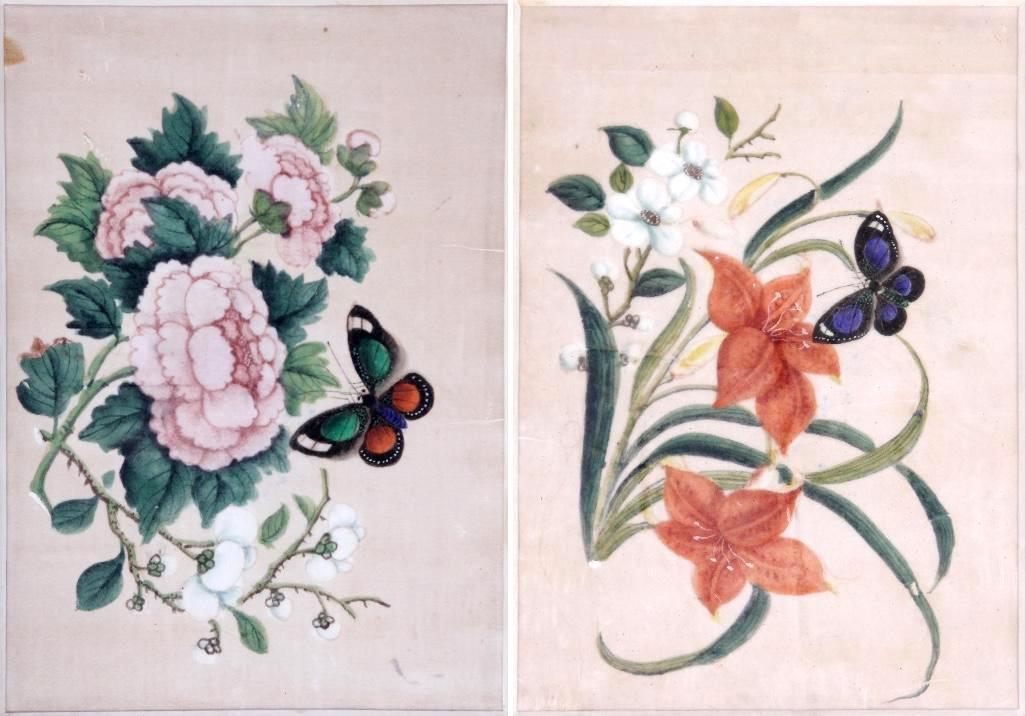 Two Chinese 19th C. Pith Paintings (1 of 6)