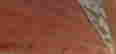 item-135857784=7