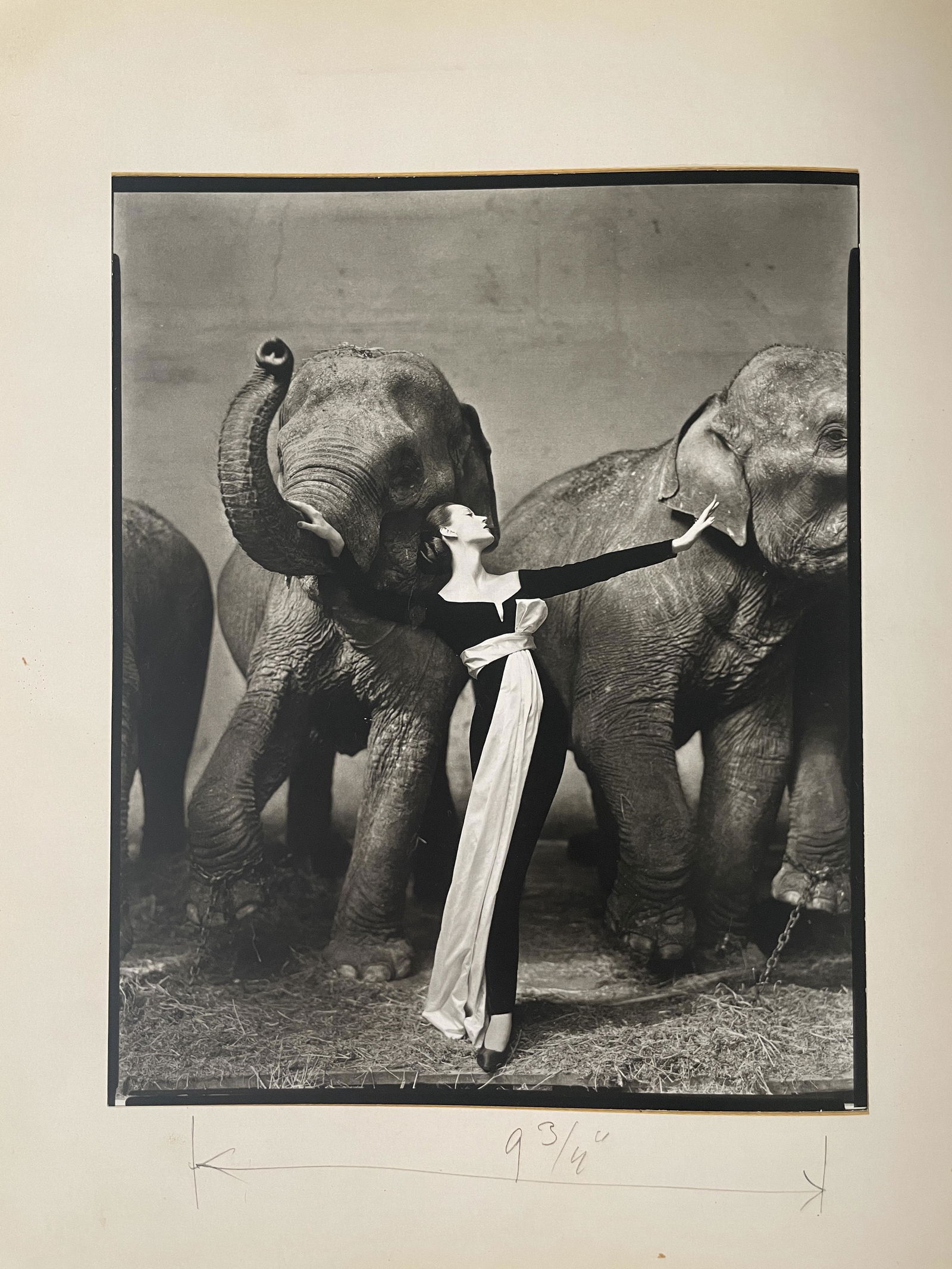 Richard Avedon "Dovima with Elephants, Paris, 1955" Limited Quadratone (1 of 8)