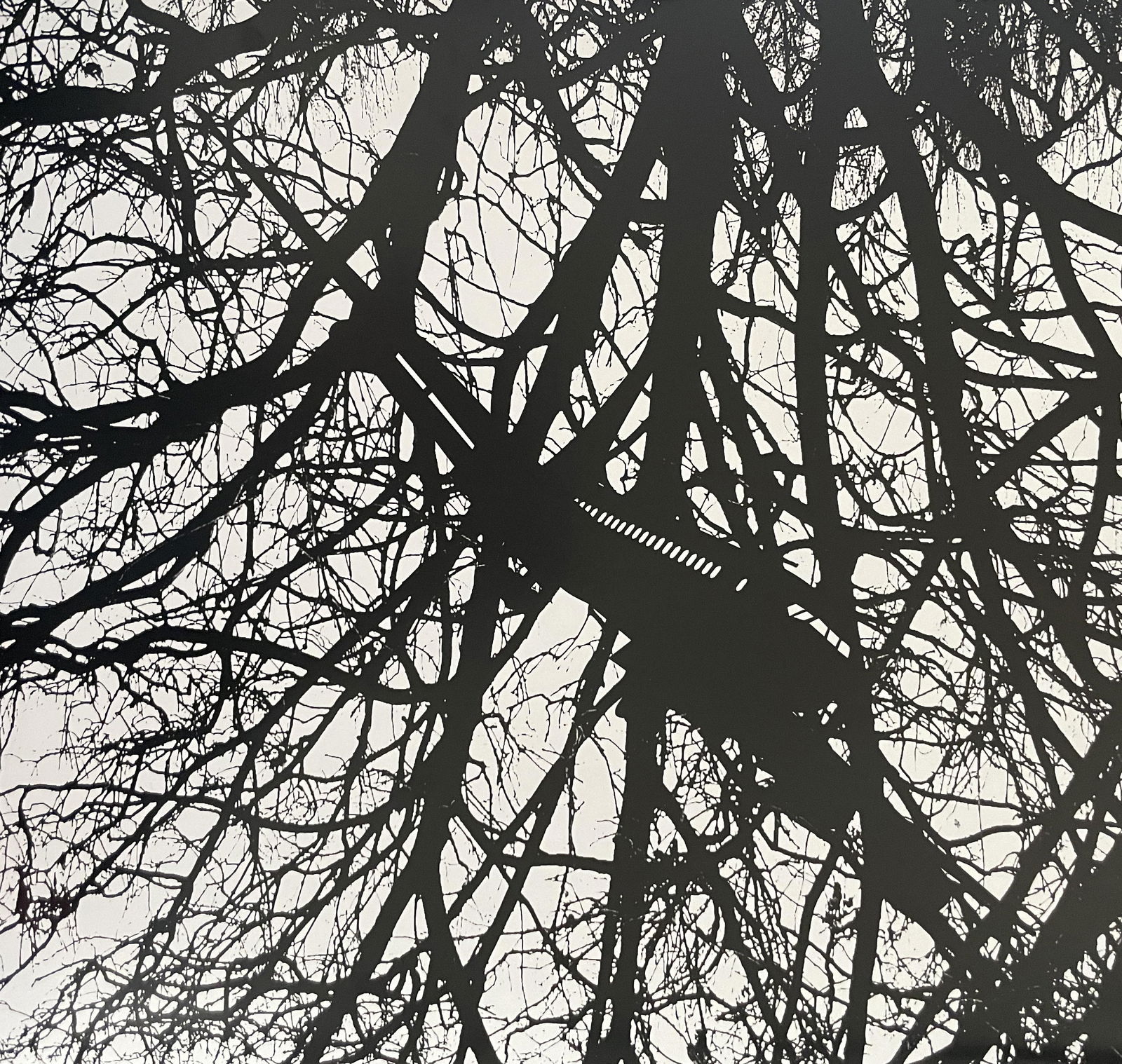 Carlos Amorales "Untitled" Print: Carlos Amorales "Untitled" Print. Measures (approx): 11.5 x 11.25. Verso is blank. Mounted to archival quality paper.