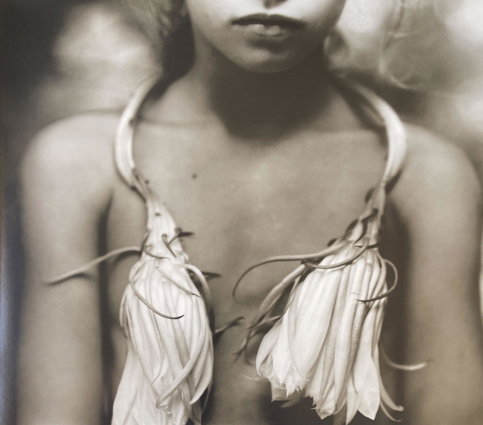 Sally Mann â€œNight-blooming Cereus, 1988â€ Print: Sally Mann â€œNight-blooming Cereus, 1988â€ Print. Measures (approx): 8.25 x 9.75. Mounted to archival quality paper. Verso is blank. Printed circa 1990â€&#