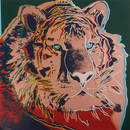 Andy Warhol, Siberian Tiger, 1983 Silkscreen