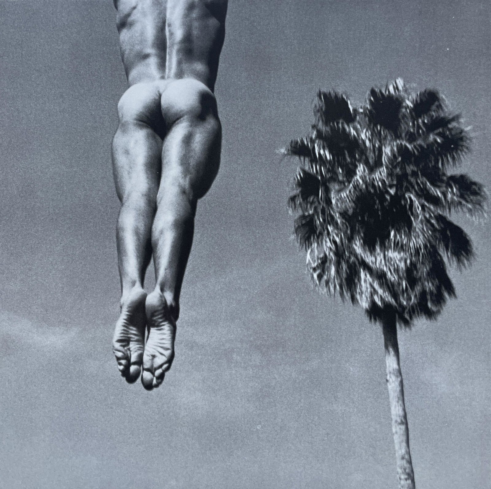 Tom Bianchi "Male Nude" Print: Tom Bianchi "Male Nude" Print. 7 x 7. Mounted to Archival Quality Paper. Verso is blank. Printed circa 1990's.