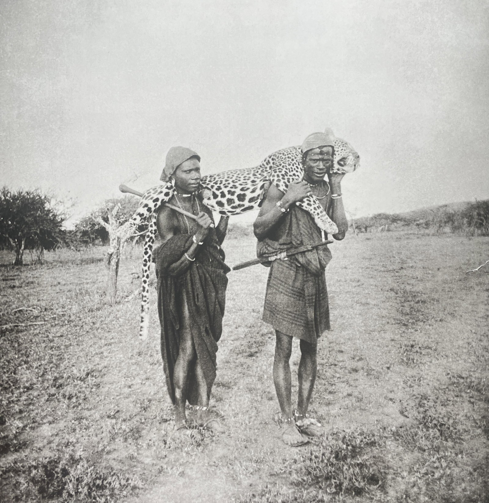 Peter Beard "Cheetah Slaying, Africa" Print: Peter Beard "Cheetah Slaying, Africa" Print. Measures 8.75 x 9. Mounted to Archival Quality Paper. Verso is blank.