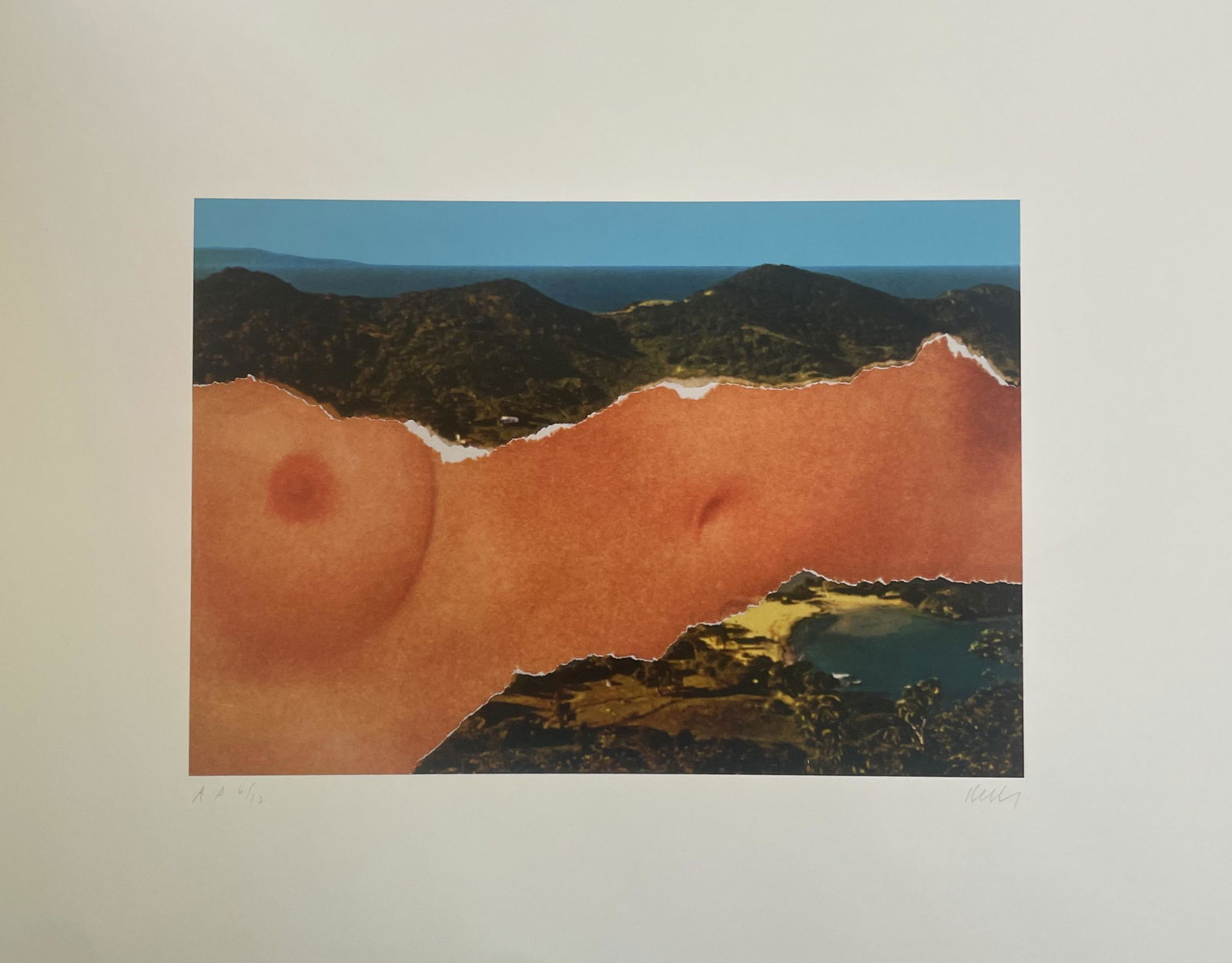 Ellsworth Kelly "Saint Martin Landscape, 1979" Print (1 of 5)